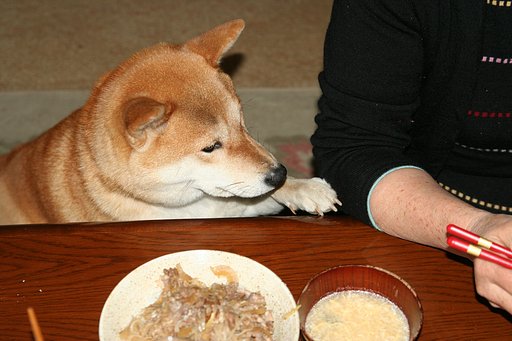 “オネダ”リン