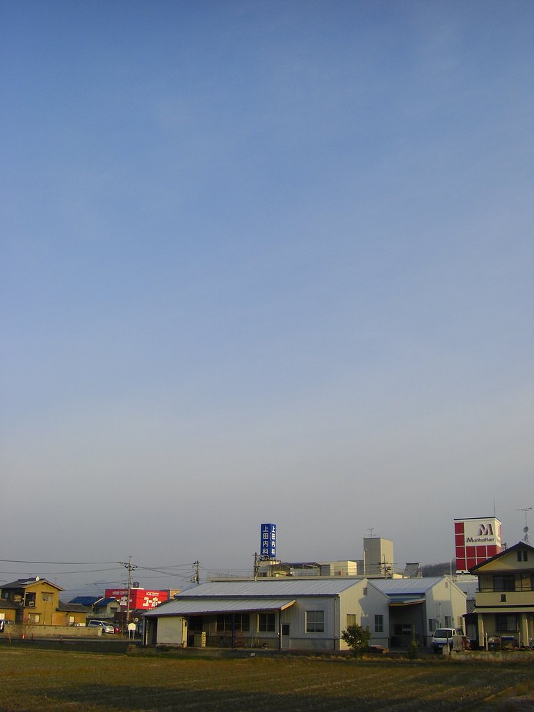 晴れました