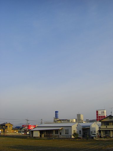 晴れました