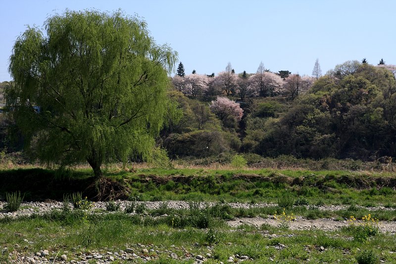 多摩川の河原にて