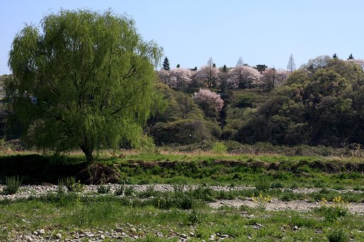 多摩川の河原にて