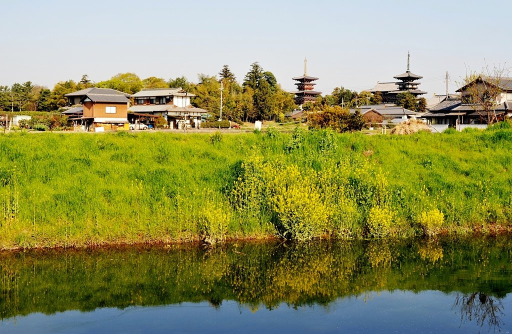 春の薬師寺