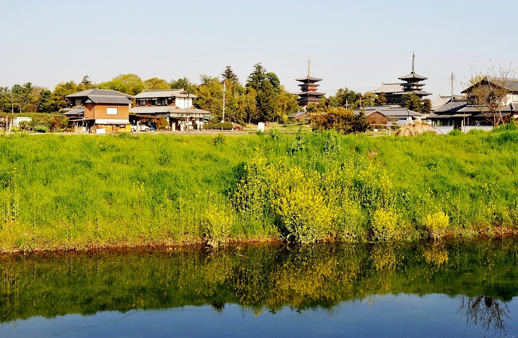 春の薬師寺