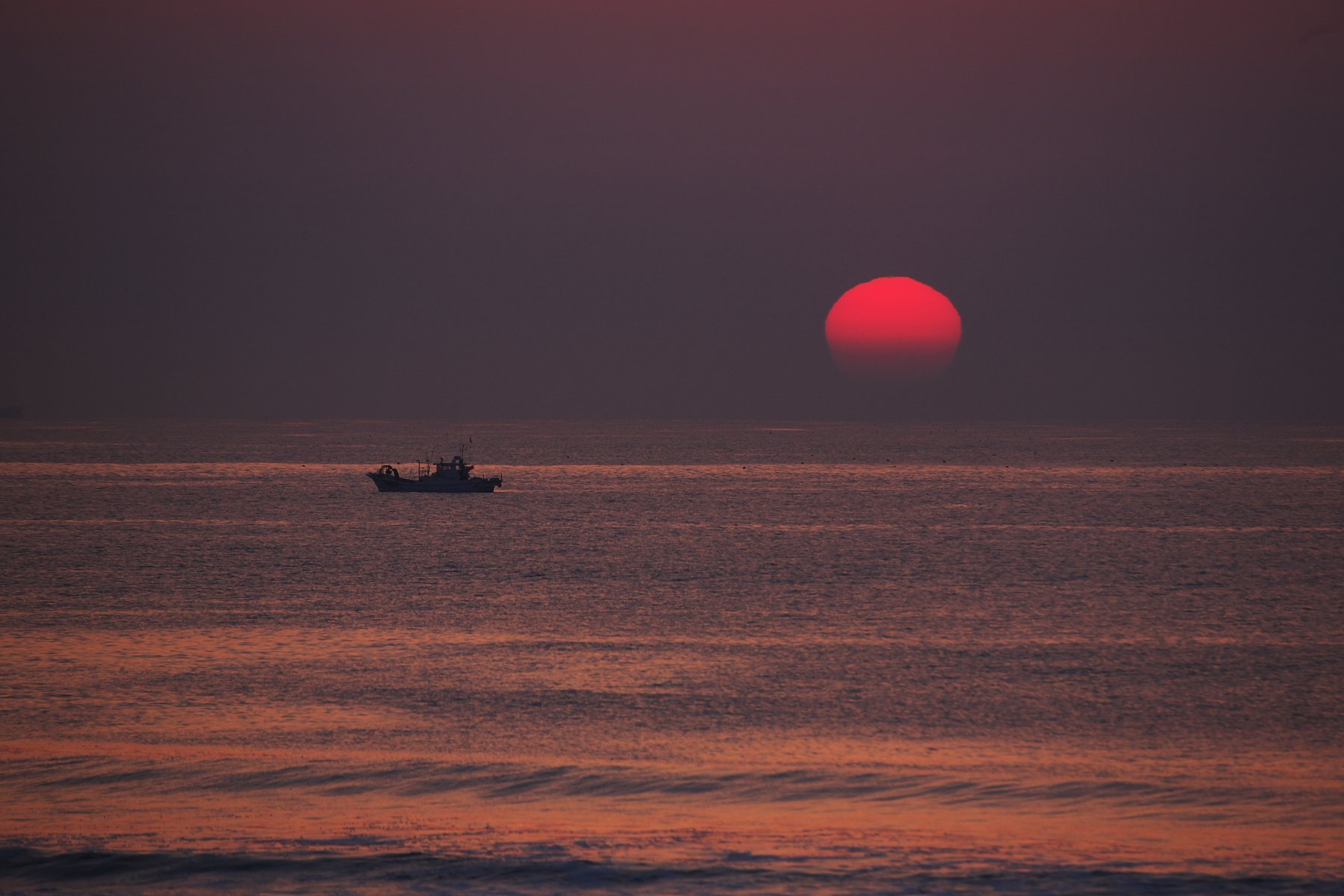 春の海