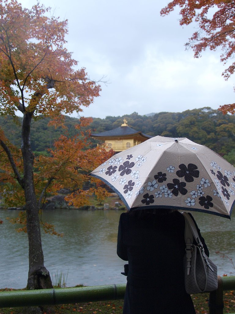 雨の金閣寺
