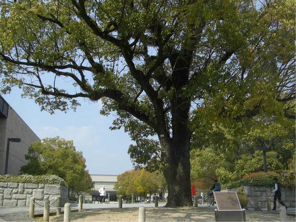 新緑のエントラス