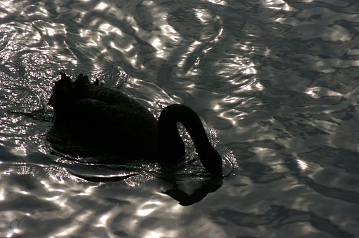 揺れ