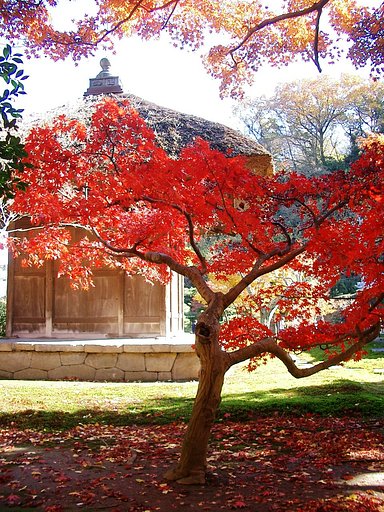〜　いざ鎌倉（長寿寺-0１）　〜
