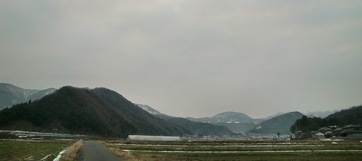 日の出の見られない今朝の農道