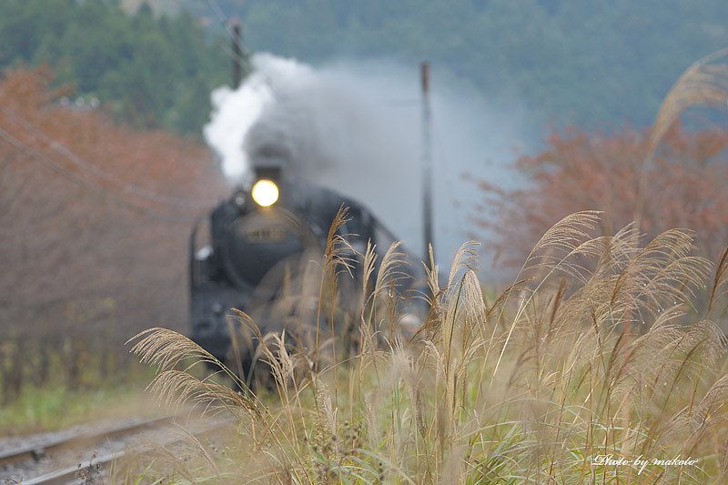 夢を乗せて・・・