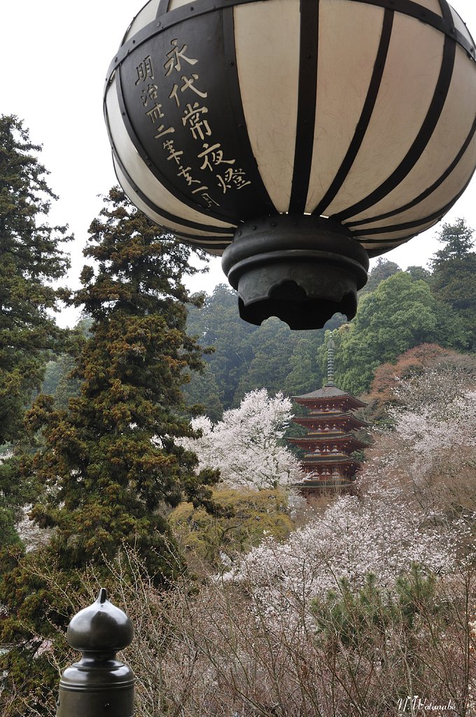 奈良の長谷寺