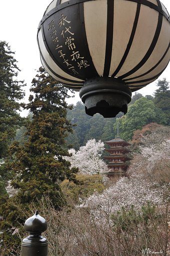 奈良の長谷寺