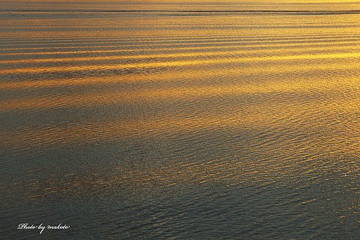 夕日を浴びた・・・