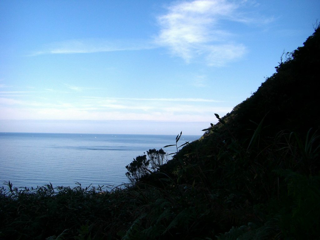 日本