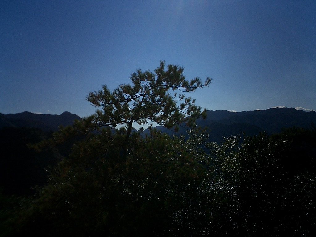 松と稜線