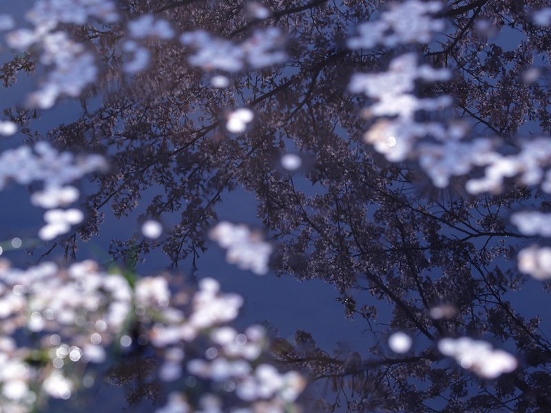 水鏡