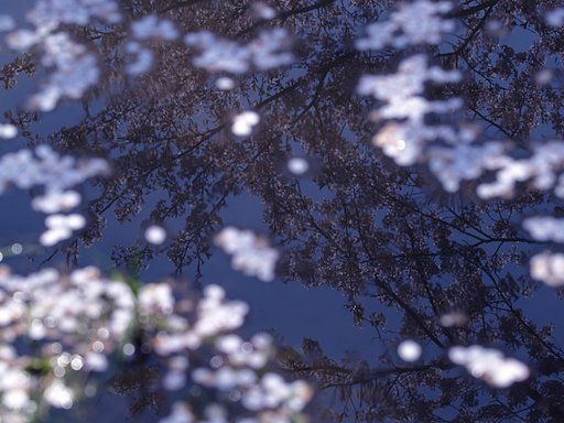 水鏡