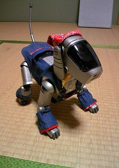 こちら　AIBO