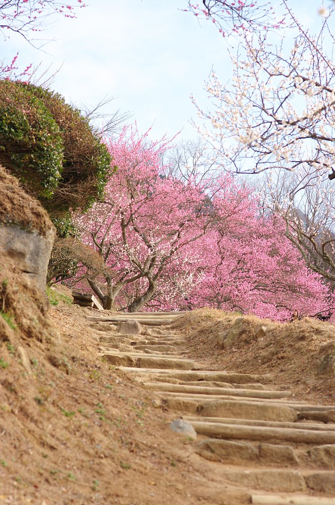 登って行くと・・・