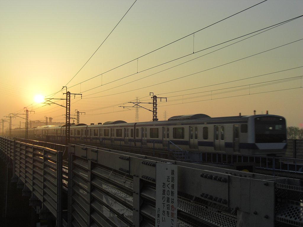 旭日を背に