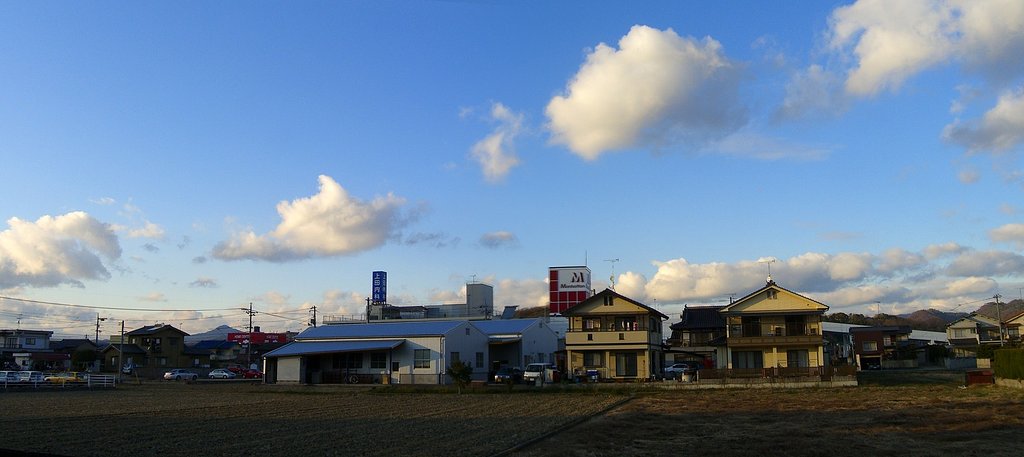 晴れでした