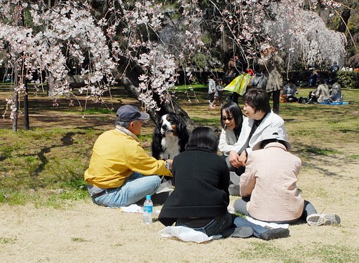 花見の宴