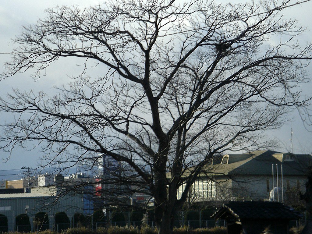 冬姿その2