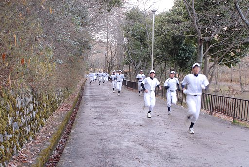 寒さに負けないで・・・