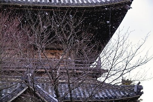 ROKKOR 55mmF1.7改