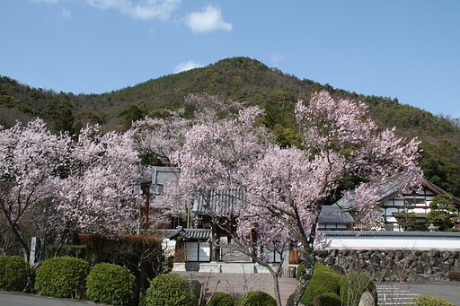 山寺の春