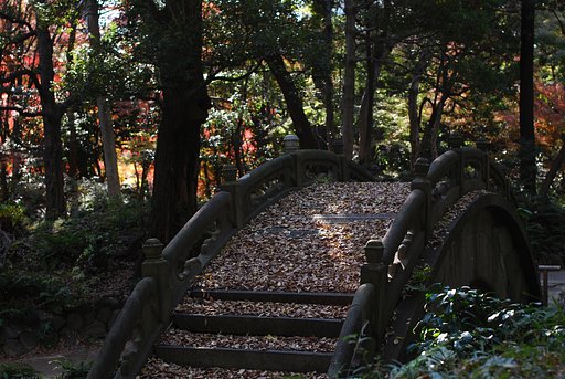 落葉に埋もれて