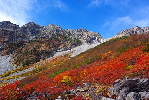 【2008】涸沢的紅葉