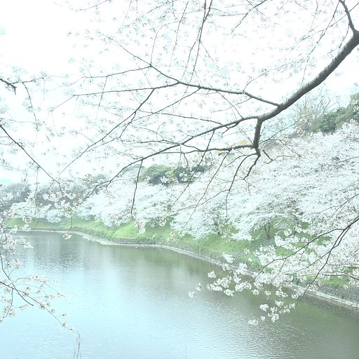 淡い千鳥ヶ淵