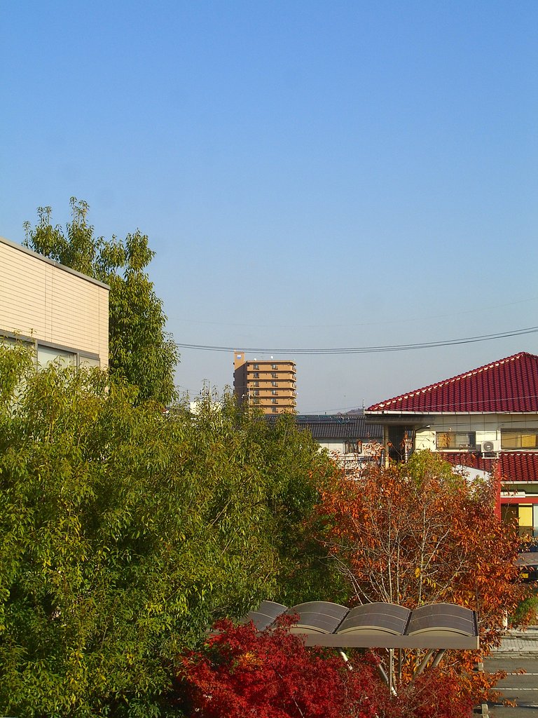 三色
