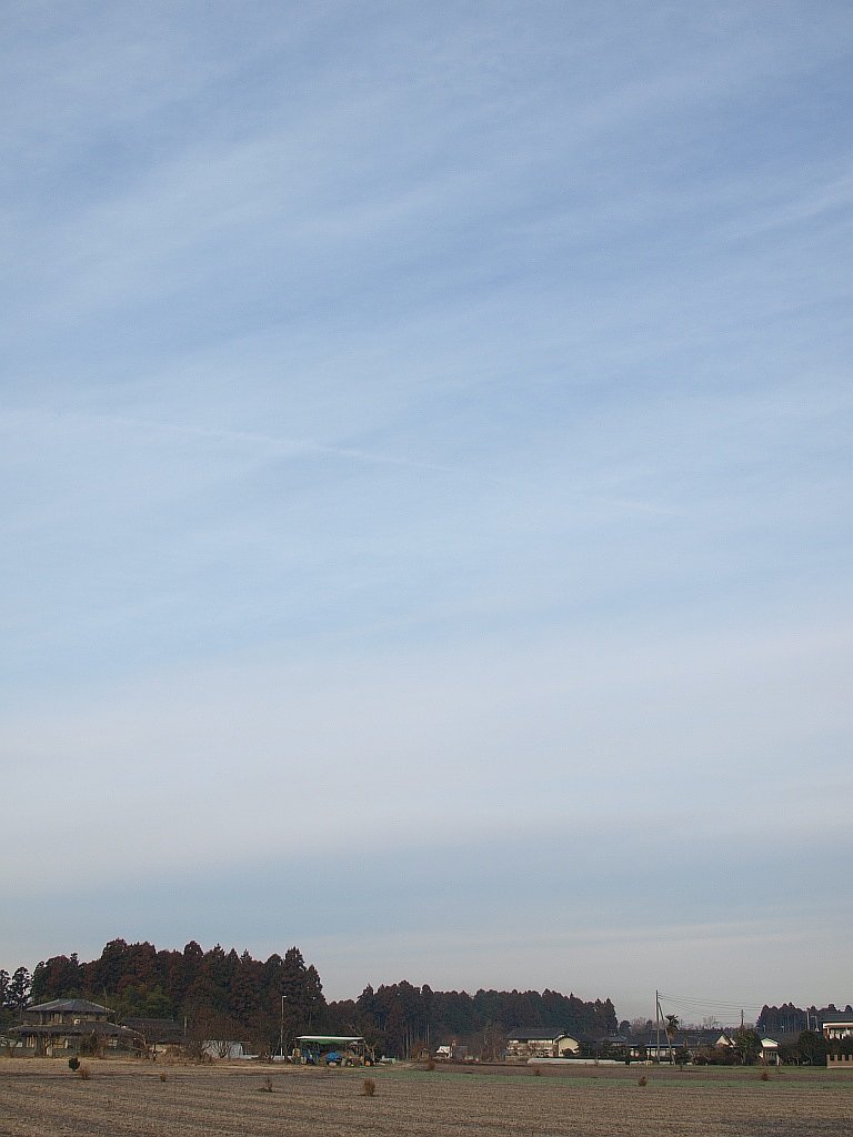 久しぶりの曇り空・・・^^;