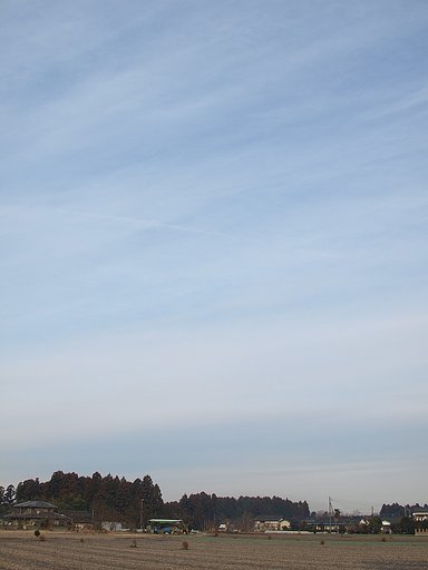 久しぶりの曇り空・・・^^;