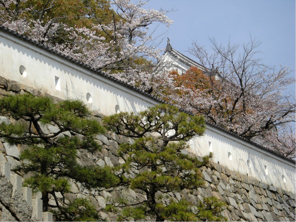 一部満開