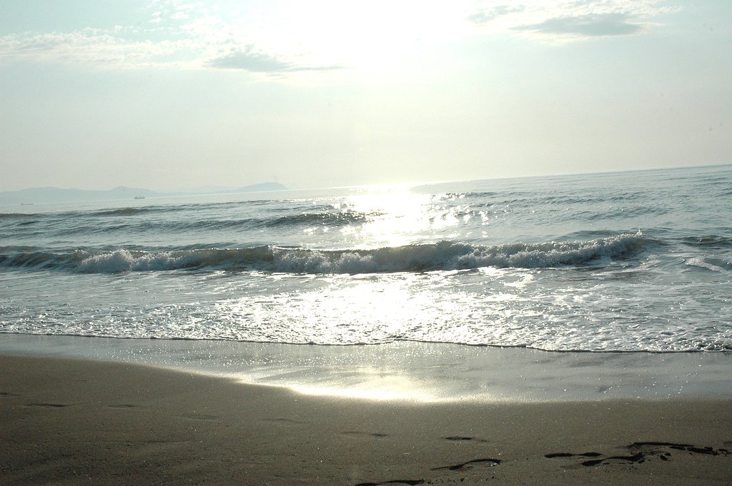 5月の海