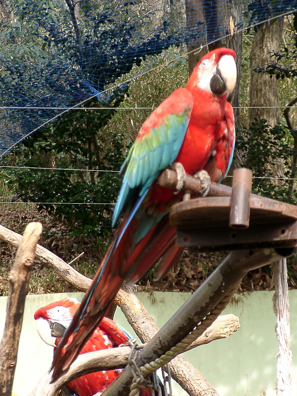 ◆冬の動物園から-09