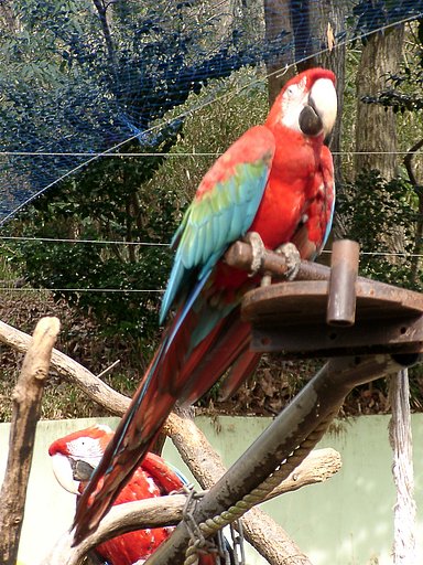 ◆冬の動物園から-09