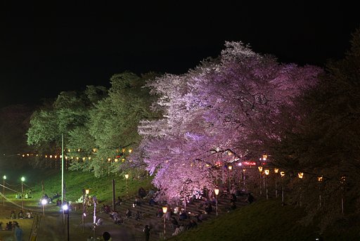 夜遊び！