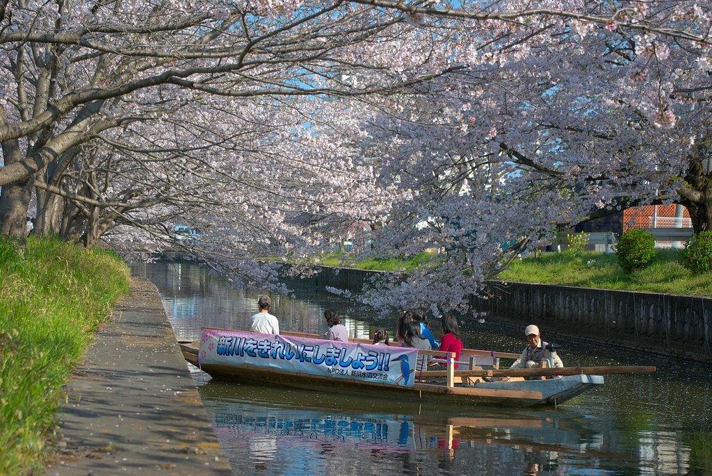 土浦新川・・・