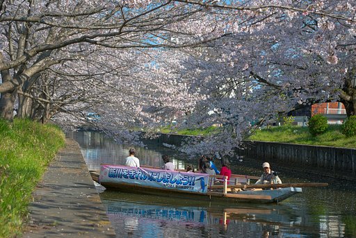 土浦新川・・・
