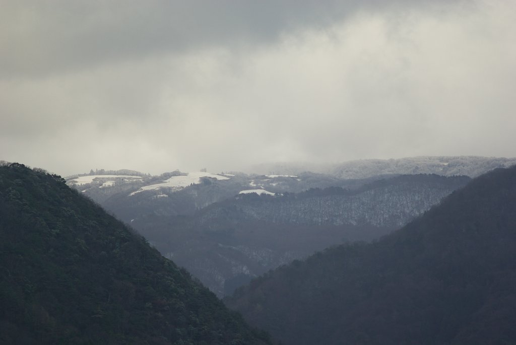 扇ノ山（海抜1310m)のダイコン畑