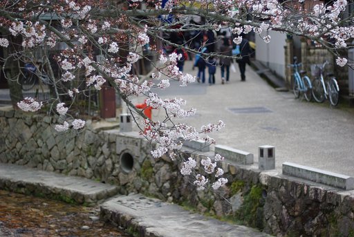 宮島