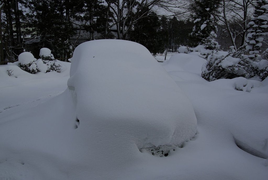 雪国の本気