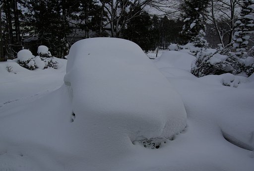 雪国の本気