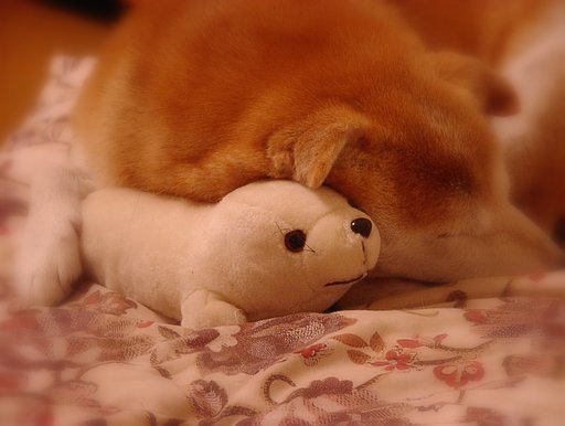 【2008】抱っこ