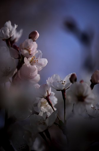 目覚め