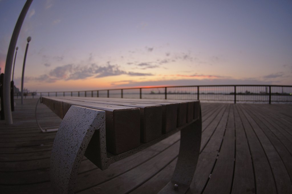 犬目線？